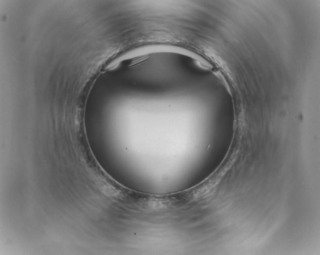 X0000088750305200706141735