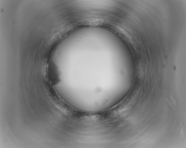 X0000088750307200706141735