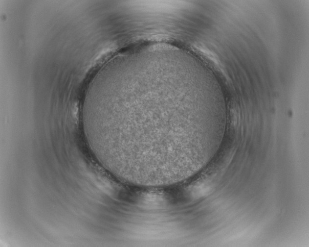 X0000088750308200706141735