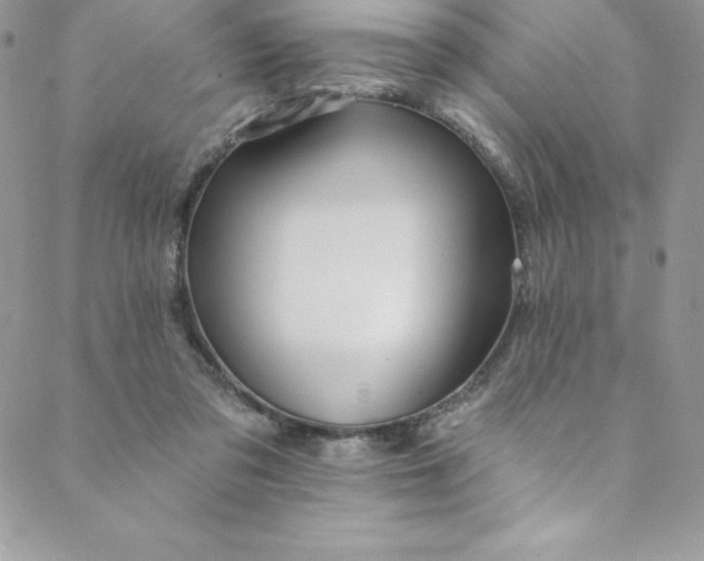 X0000088750309200706141735