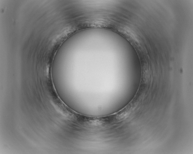 X0000088750310200706141735