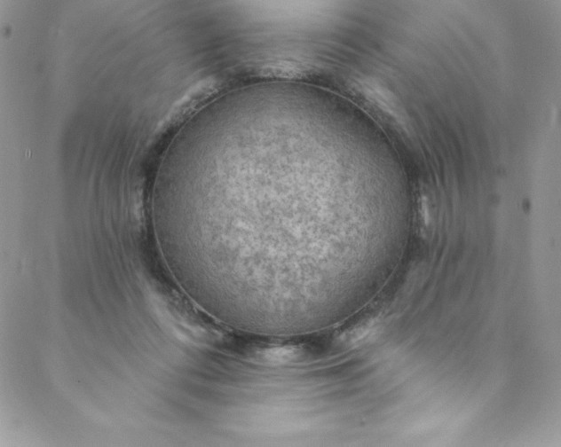 X0000088750312200706141735