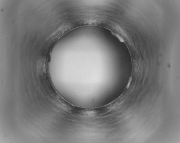 X0000088750313200706141735