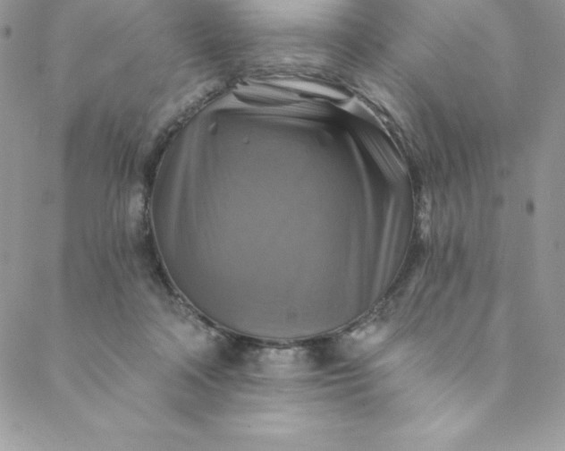 X0000088750314200706141735