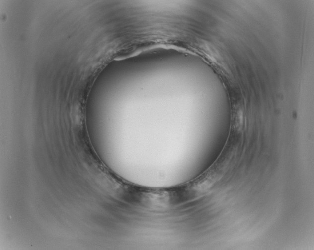 X0000088750317200706141735