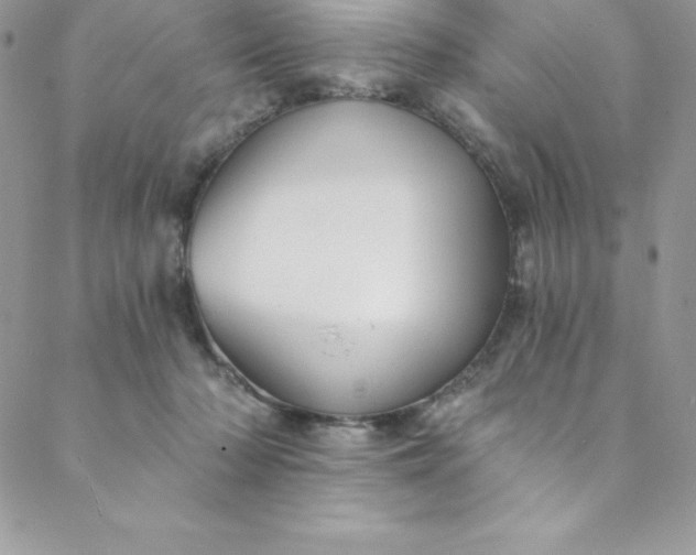 X0000088750318200706141734