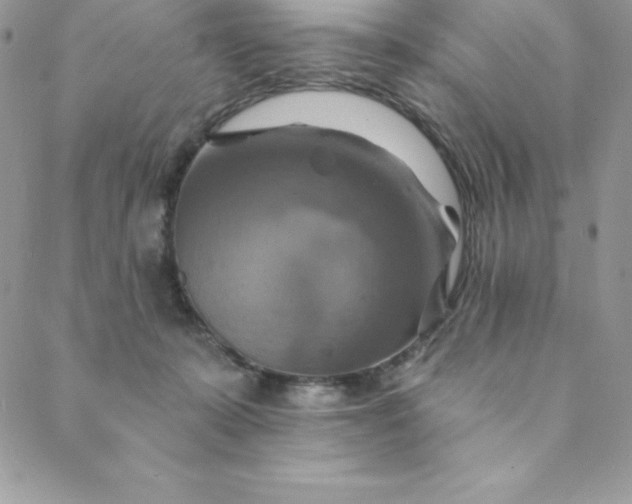 X0000088750319200706141734