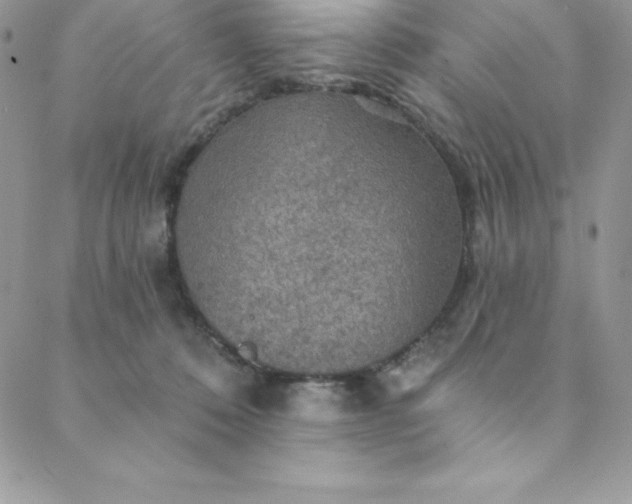 X0000088750320200706141734