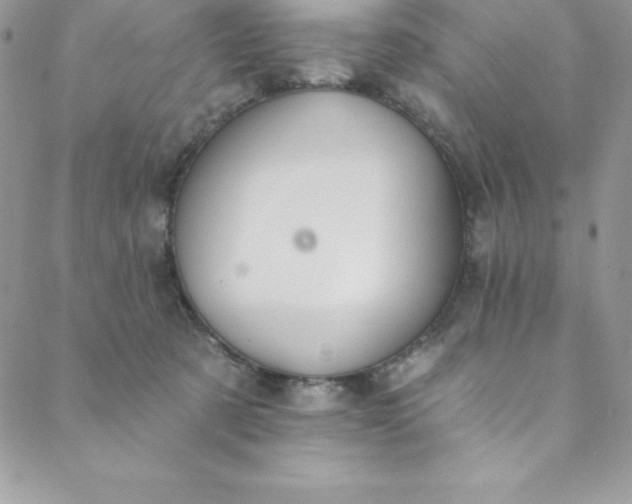 X0000088750321200706141734