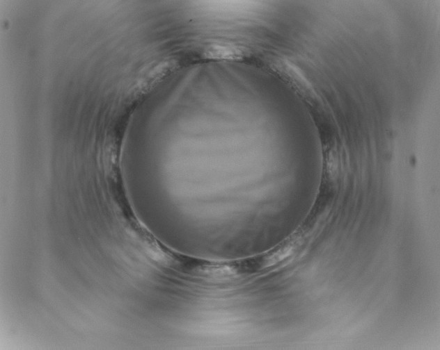 X0000088750322200706141734