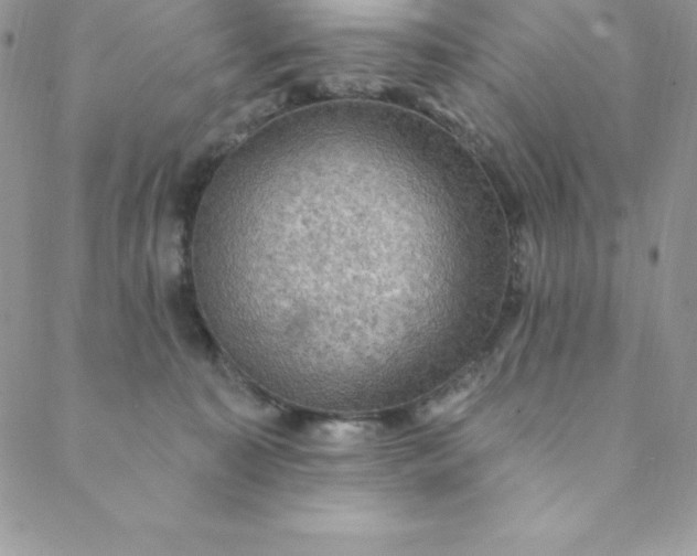 X0000088750323200706141734