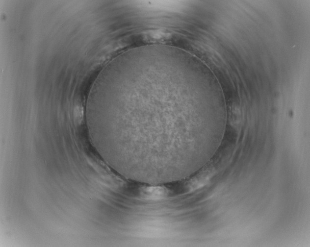 X0000088750324200706141734