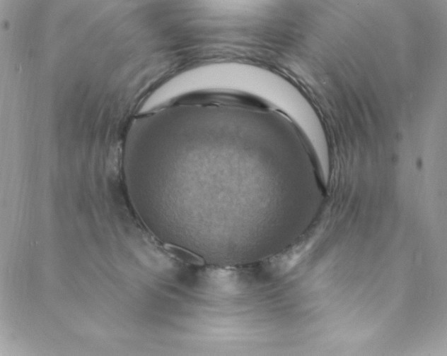 X0000088750325200706141734