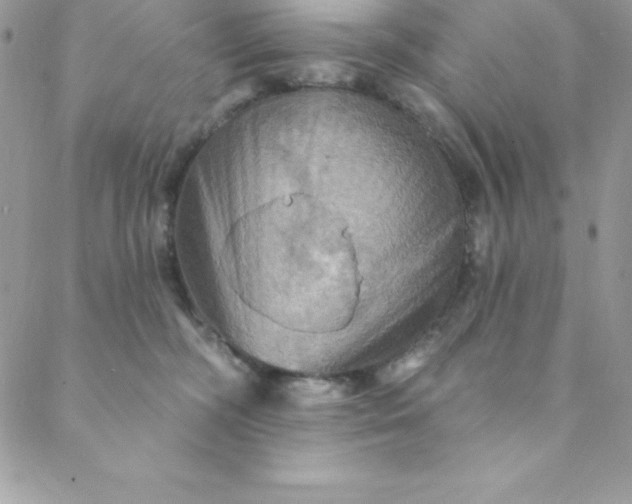 X0000088750326200706141734