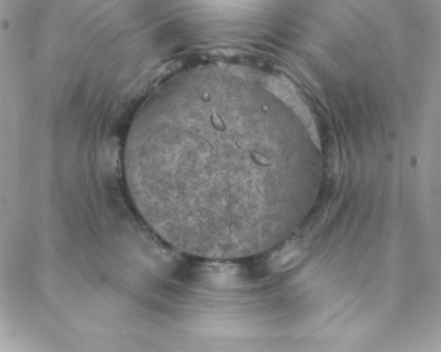 X0000088750328200706141734