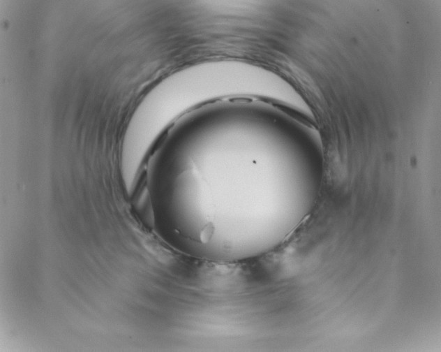 X0000088750329200706141734