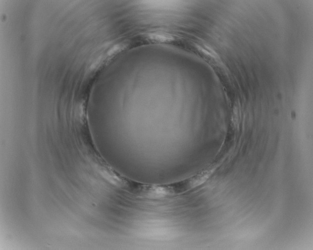 X0000088750330200706141734