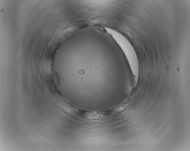 X0000088750331200706141734