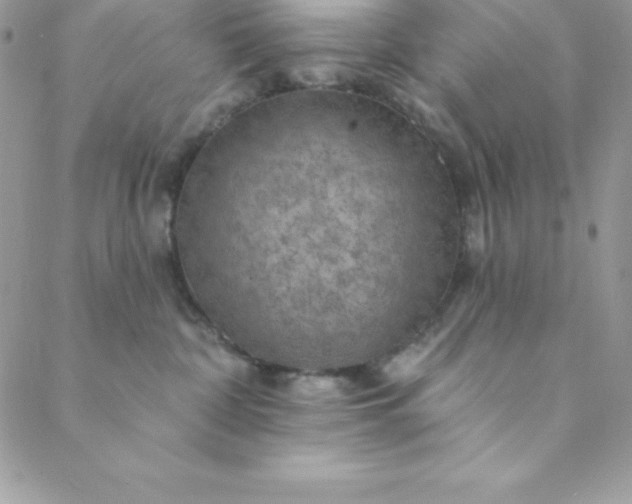 X0000088750332200706141734