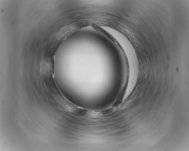 X0000088750333200706141734