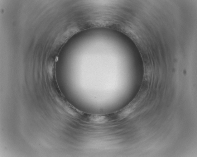 X0000088750334200706141734