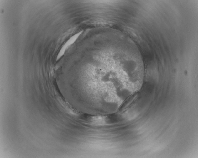 X0000088750335200706141734