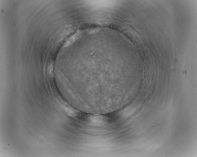 X0000088750336200706141734