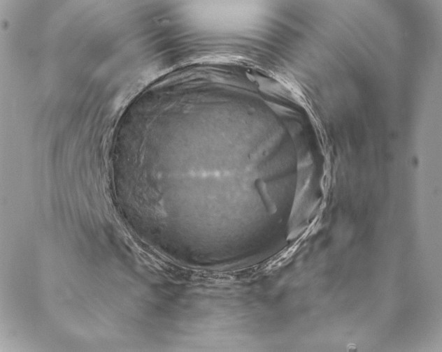 X0000088750337200706141733