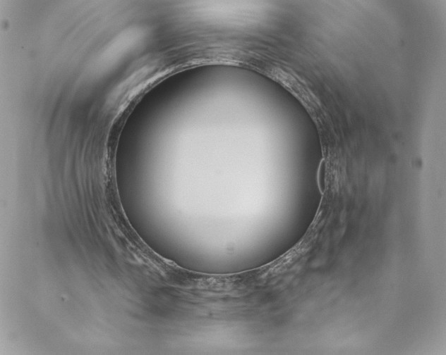 X0000088750338200706141733