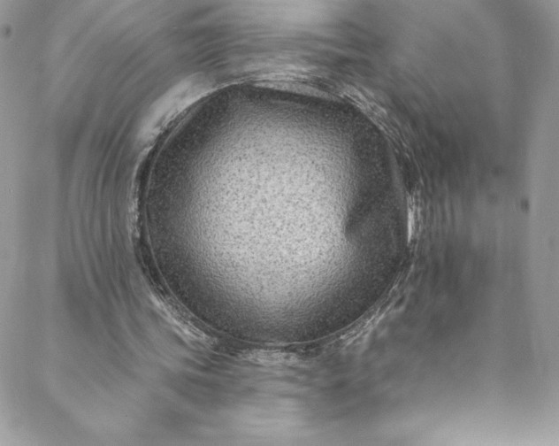 X0000088750339200706141733