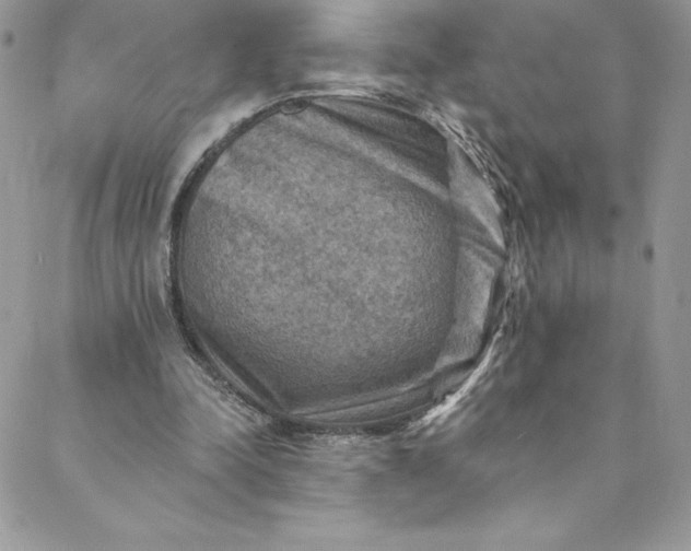 X0000088750342200706141734