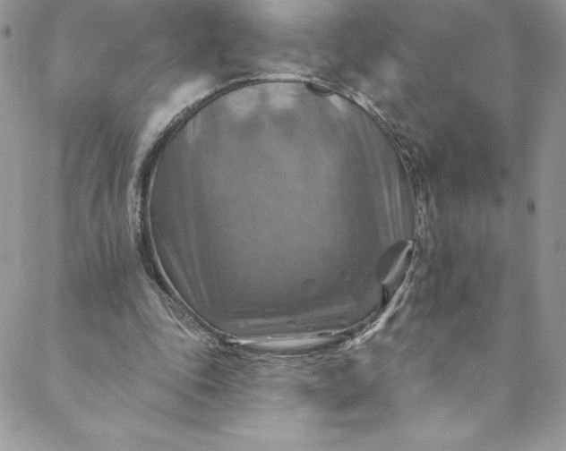 X0000088750343200706141734