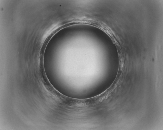 X0000088750344200706141734