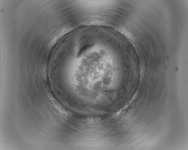 X0000088750345200706141734