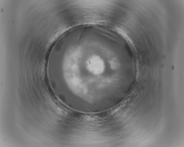 X0000088750346200706141734