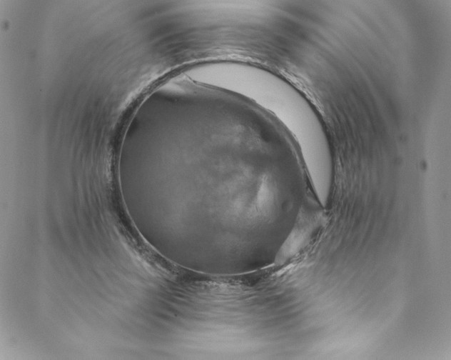 X0000088750347200706141734