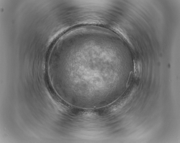 X0000088750348200706141734