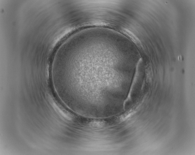 X0000088750350200706141734