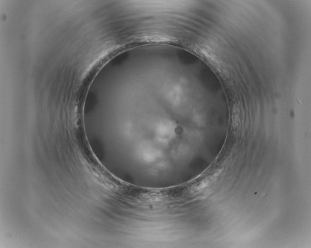 X0000088750351200706141734