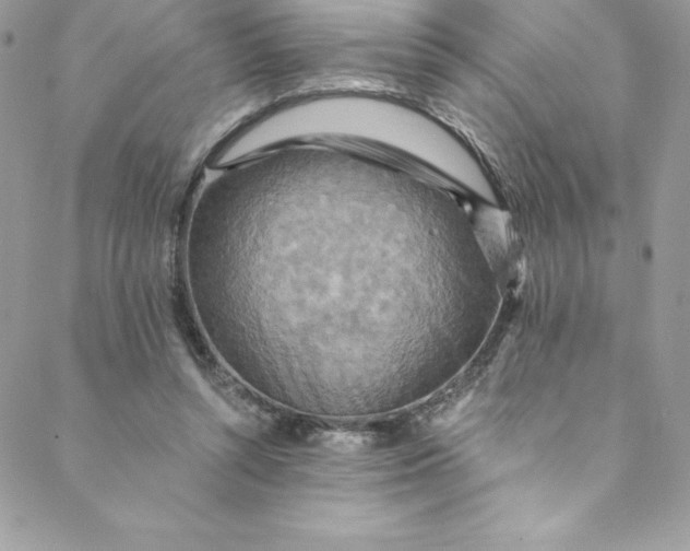 X0000088750352200706141734