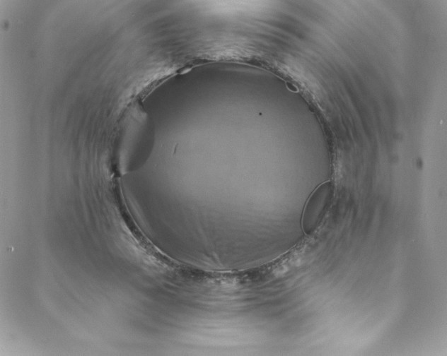 X0000088750353200706141734