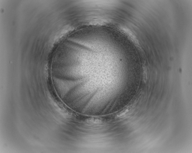 X0000088750354200706141734