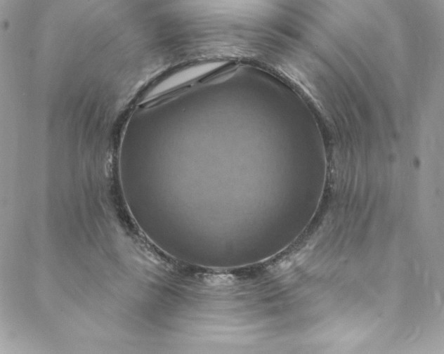 X0000088750355200706141734