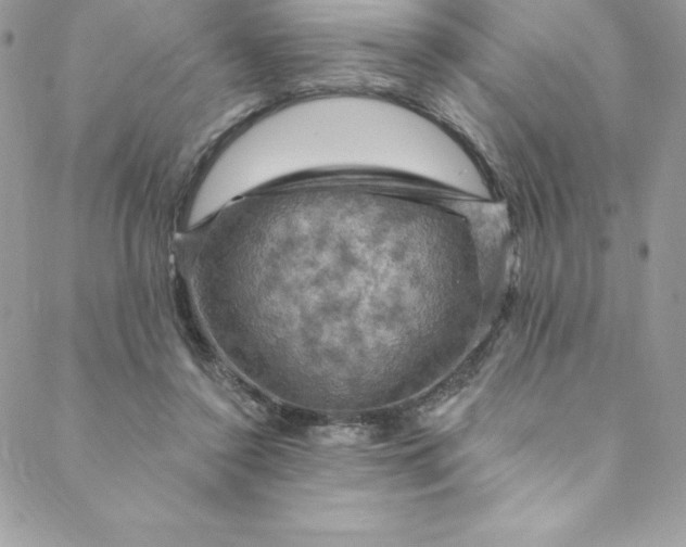 X0000088750356200706141734