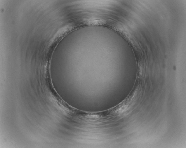 X0000088750357200706141734