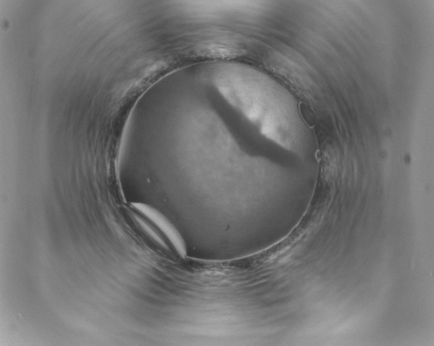 X0000088750358200706141734