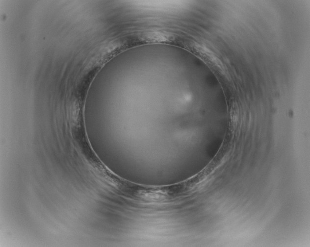 X0000088750359200706141734