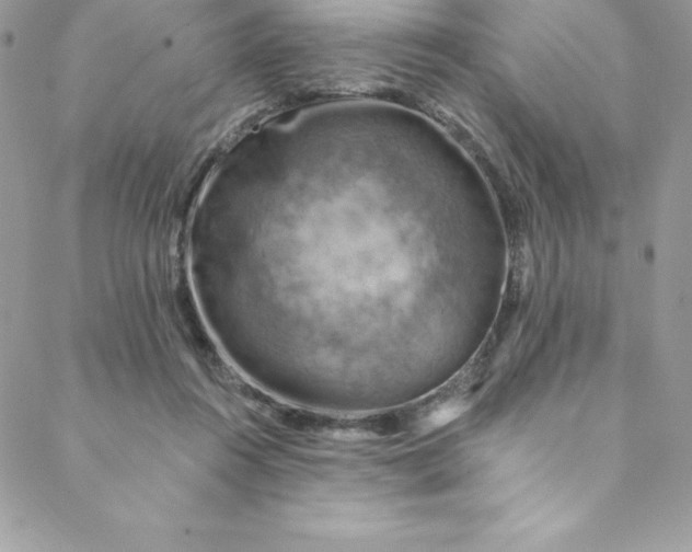 X0000088750360200706141734