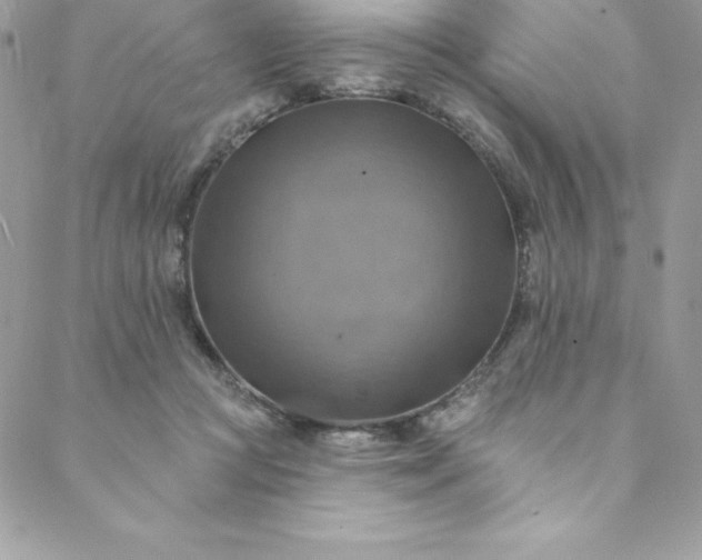 X0000088750361200706141734