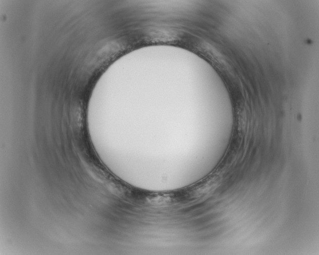 X0000088750362200706141734